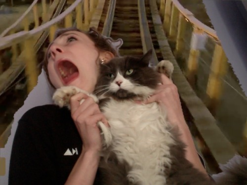 thelesbianguide:  madame-hussein:  Us on a rollercaster  For all my lesbian cat ladies. You understand why this is relevant as much as I do.  Omfg