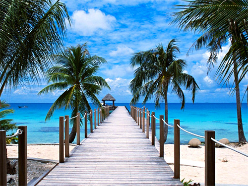 h-a-p-p-y-summer:  Follow h-a-p-p-y-summer for colorful summer pictures all year