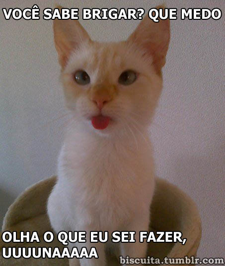 - mistura de sentimentos
