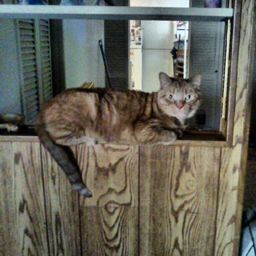 Zipper <3 (Taken with instagram)