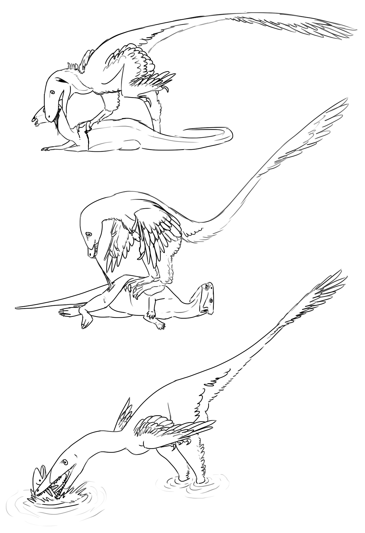 Dinosaur Drawing — Predation styles of various dromaeosaurs. ...