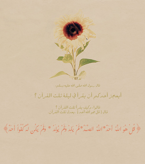 awo-2012:  “قُلْ هُوَ اللَّهُ أَحَدٌ*اللَّهُ الصَّمَدُ*لَمْ يَلِدْ وَلَمْ يُولَدْ * وَلَمْ يَكُن لَّهُ كُفُواً أَحَدٌ” 