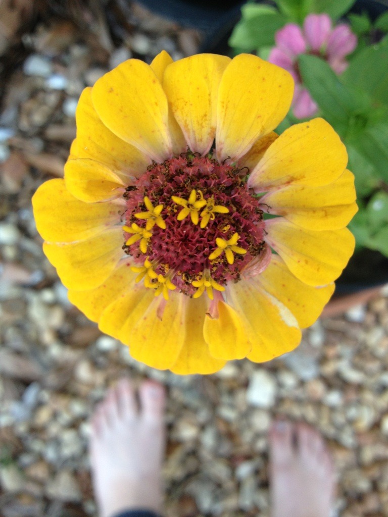An Old Soul In Full Bloom.