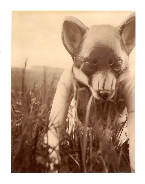 This will be the cover photo for my zine &ldquo;Red Fox&rdquo; - Baddog - Spring 2012 caneba