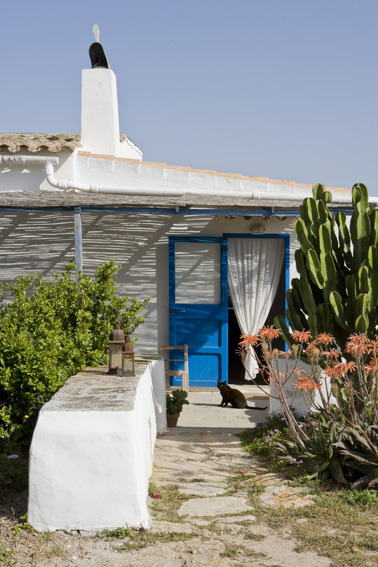 beachyhomes: This cute house is perfect! I love the blue door and all the plants. Casa Paola, Formen