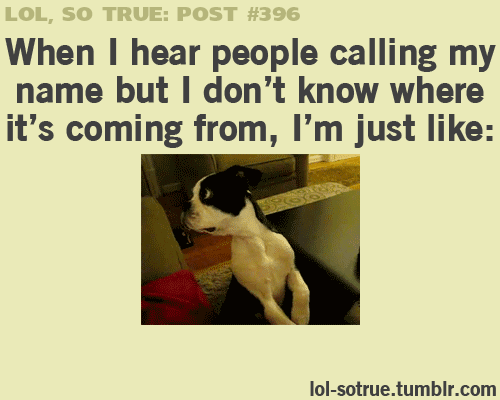 the-absolute-best-gifs:  Follow this blog, you will love it on your dashboard