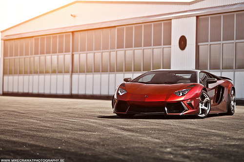 X-Rated Luxury