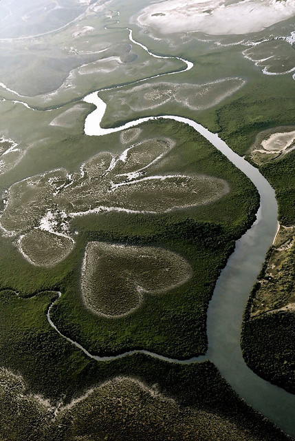 Heart-shaped swamp in Loyalty Islands, New Caledonia (by Stef DUCANDAS).