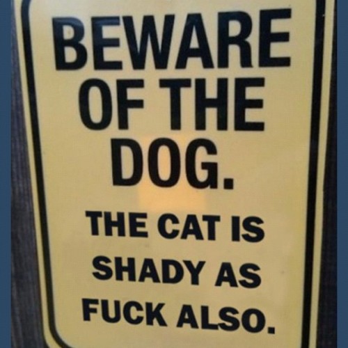 deluxelyfe:  Females call men dogs all day. But that kitty cat shady too!!!- Deluxelyfe.com (Taken with instagram) 