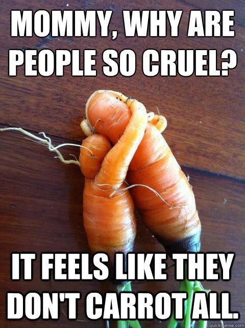 the-absolute-funniest-posts:  Follow this blog, you will love it on your dashboard