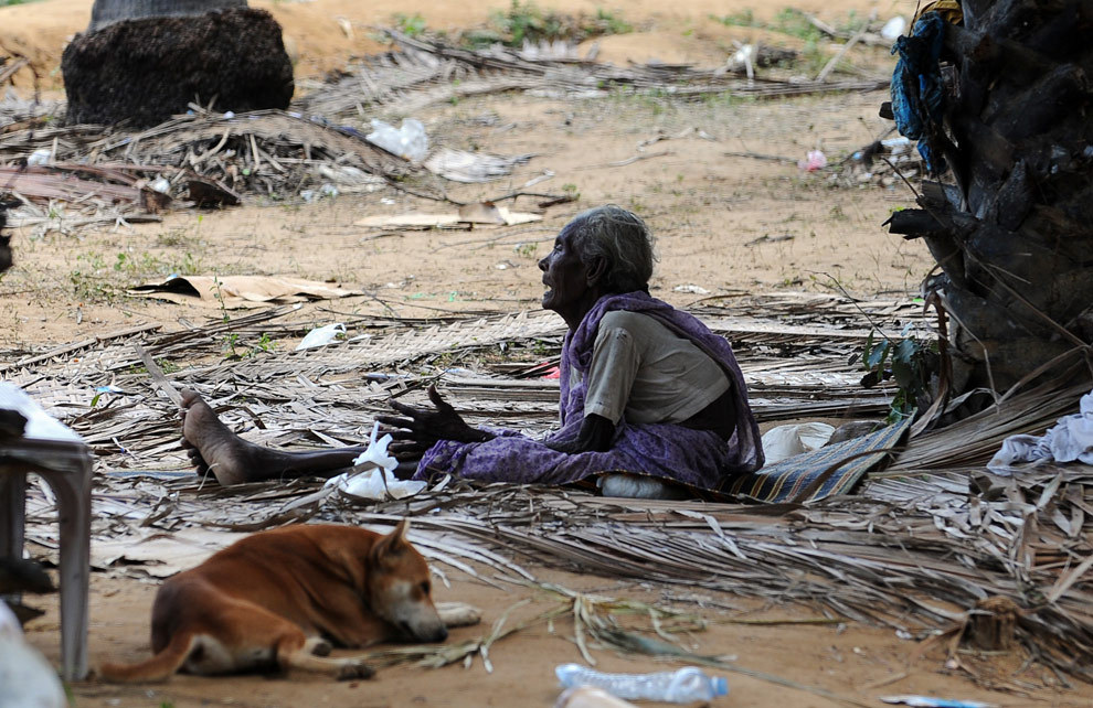 leptiir:  picturesofwar:  “An elderly Sri Lankan Tamil sits among the rubble of