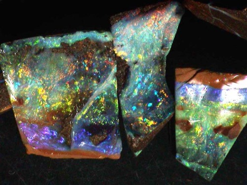  Can we just take a minute here to appreciate opals? From top left: Boulder opal. Ethiopian opal. Black crystal opal (considered the “Holy grail” of opals). Andamooka matrix opal. Yowah nut opal. Mexican fire opal. Mezezo opal. White harlequin opal.