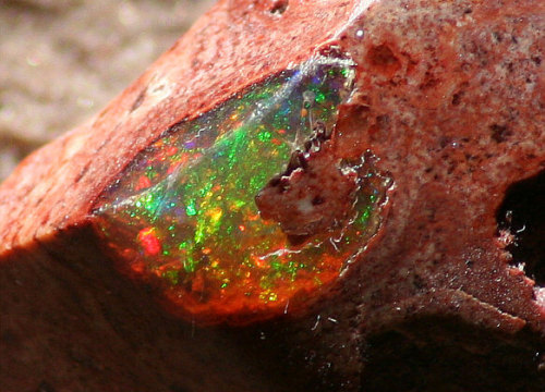 amourdefraise:vibratingsounds:tenaflyviper:Can we just take a minute here to appreciate opals?From t