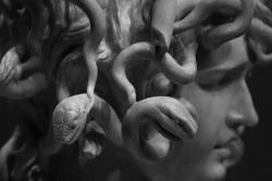 te-kallistei:   detail of Bernini’s Medusa,