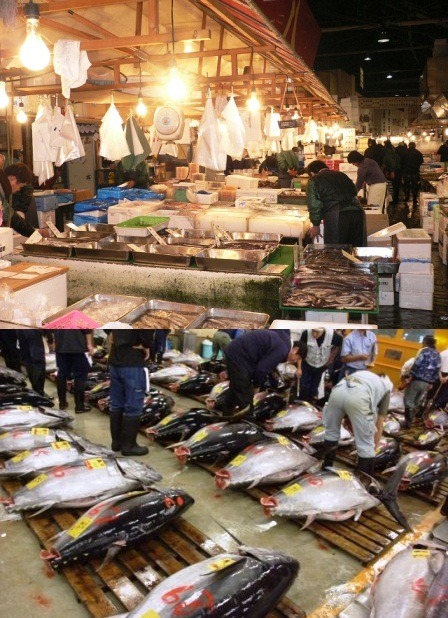 &ldquo;Tsukiji Fish Market&rdquo; in Tokyo,Japan.　築地市場。