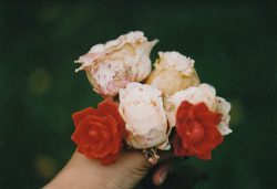 floralls:  (by Nastya Jour) 