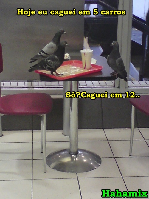 nós vamos roubar suas cuecas