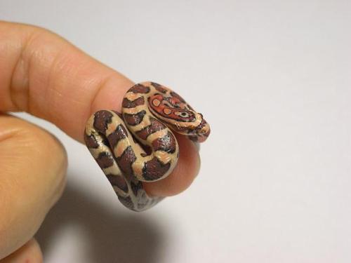 joshpeck:don’t even talk to me if you don’t own AT LEAST 5 live baby snake rings