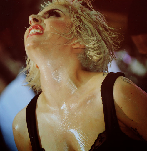 fosterthemonster:  Gaga Derps