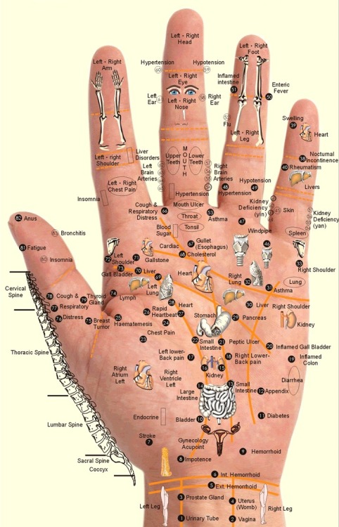 Hand foot and mouth disease