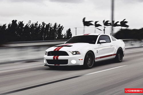 exclusive-pleasure:  crash—test:  Ford GT500 - VVSCV3 (by VossenWheels)  