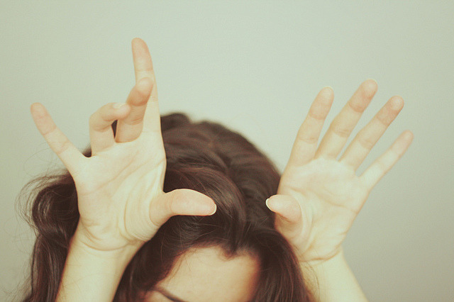 pre-tea:  - deer - by Teresa Q on Flickr. 
