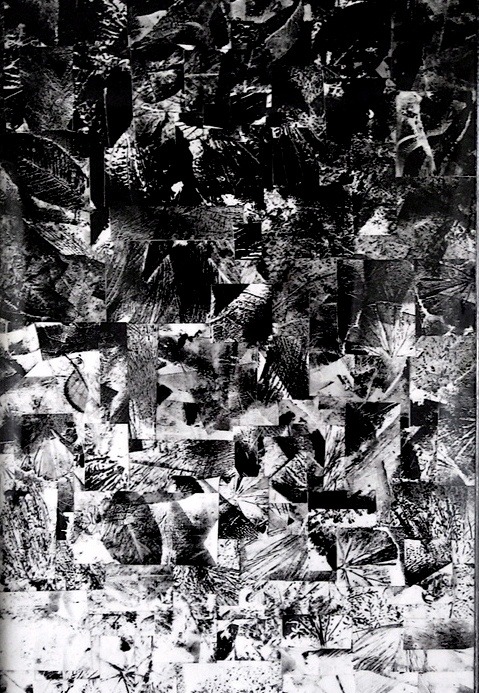 fiore-rosso:  michael ifland. 