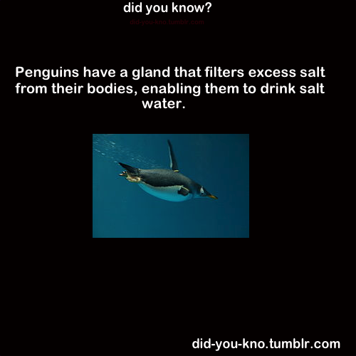 did-you-kno:  Source