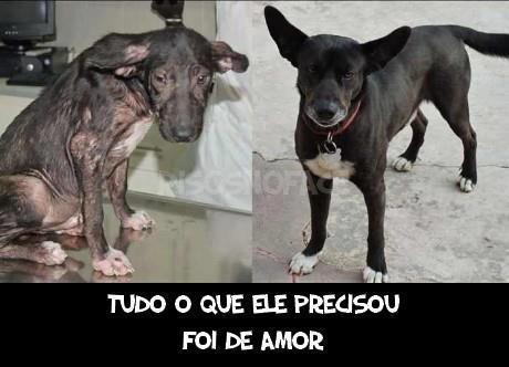 Até logo estrela!