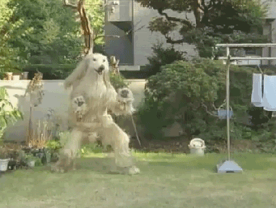 HUPHUPHUPHUPHUP