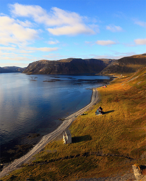 Arctic landscape in Gullgammen, Finnmark, Norway (by Jan Georg Svane).