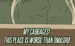 fitlikekorra:  cuddlypoops:  MY CABBAGESSSSSS!   Eat your cabbage guys. It’s good