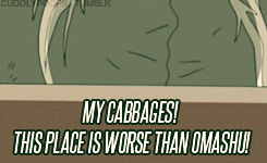 fitlikekorra:cuddlypoops:MY CABBAGESSSSSS! Eat your cabbage guys. It’s good for you. Support cabbage