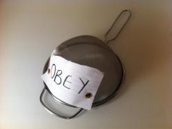  my new obey snapback  