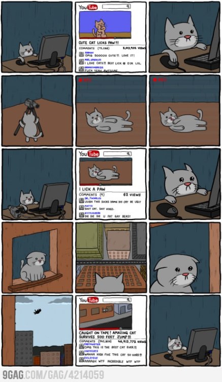 9gag:  Sad cat is sad 