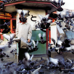 #I #hate #pigeons