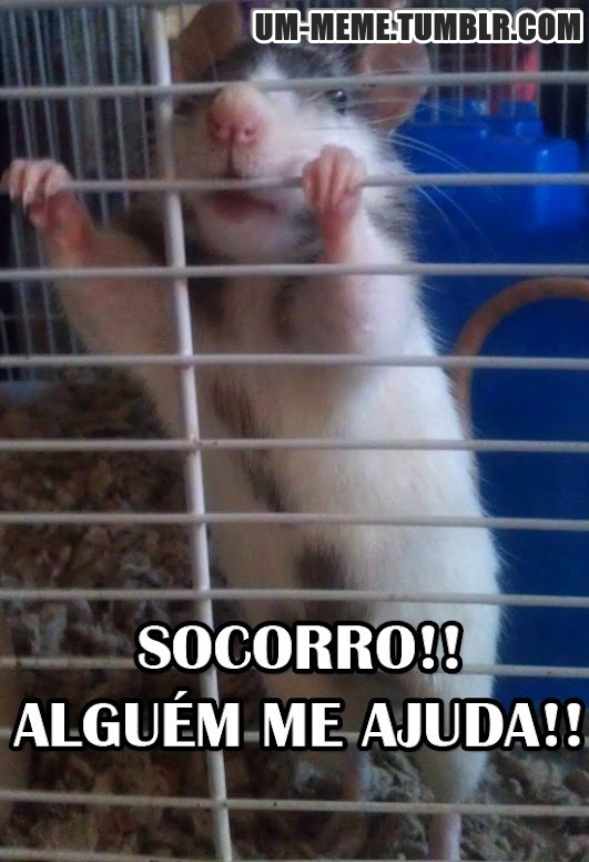 um-meme:  KKKKKKKKKKKKKKKKKKKKKKKKKKKKKKKKKKKKKKKKKKKKK
