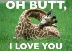 Oh, Butt&hellip; I love you
