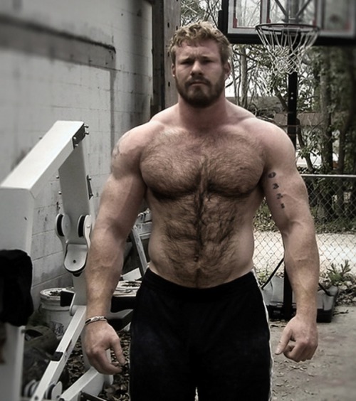 hot4hairy2:  H4H | #hot4hairy | hot4hairy2.tumblr.com 