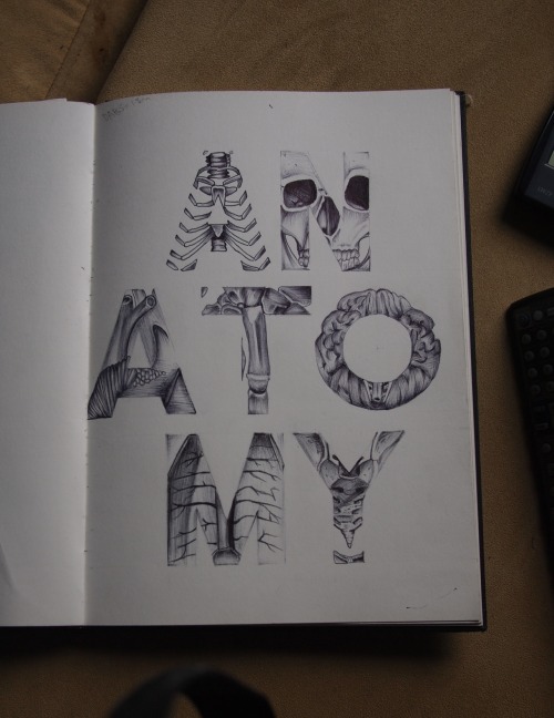 williamrobey:  ANATOMY 