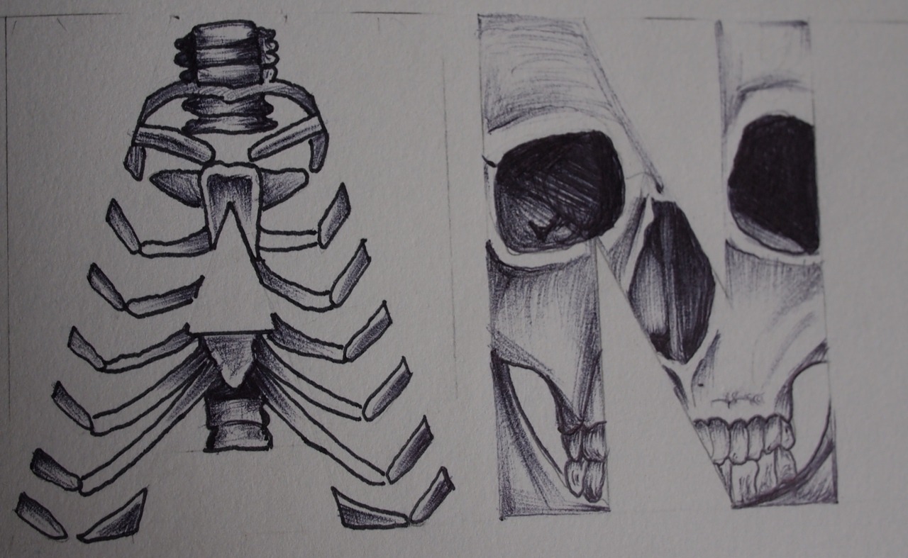 williamrobey:  ANATOMY 