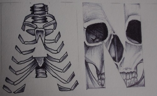 williamrobey:  ANATOMY 