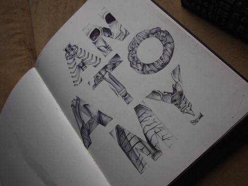 williamrobey:  ANATOMY 