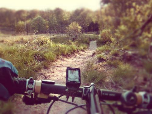 A nice day mountainbiking at Groesbeek/Nijmegen/Mook/Malden