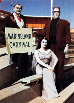 vintagegal:  The Munsters at MarineLand,