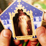 i-am-lord-trolldemort:  Harry Potter and the Sorcerer’s Stone Screencaps 