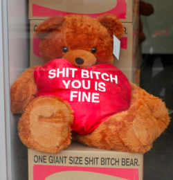 lazierthentheamericangovernment:  pathogems:  that is the perfect gift omg  ONE GIANT SIZE SHIT BITCH BEAR. 