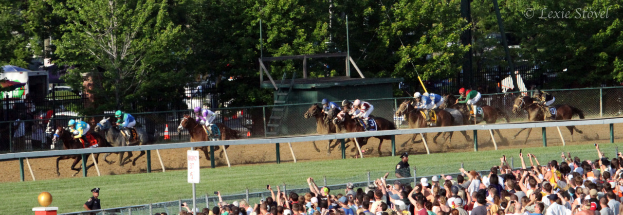 The whole Preakness field on the final turn
© Merlinoftheroundtable