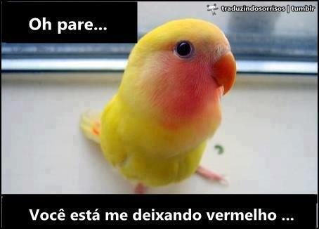 Indecifrável