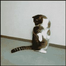 llbwwb:  A CAT + A TAIL = TROUBLE By:Cohise 